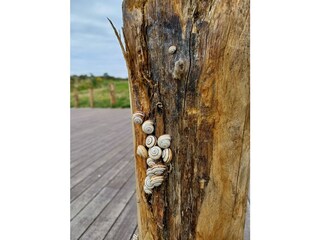 Strandspaziergang