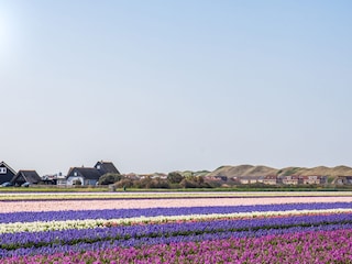 Ferienhaus Holland Umgebung 28
