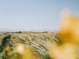 Ferienhaus Holland Umgebung 29