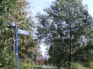 Wellenpark
