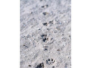 Sandstrand am Meer