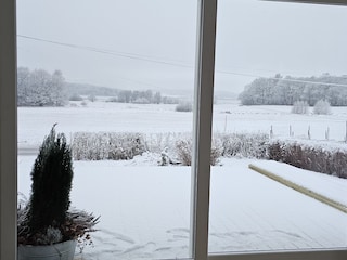View from the living room