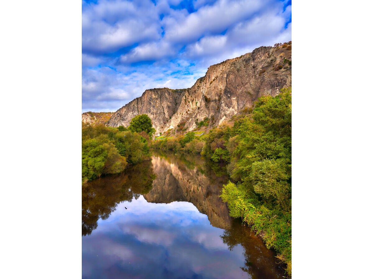 Rotenfels