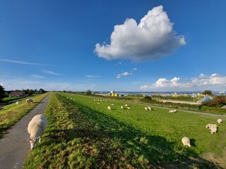 Vakantieappartement Fedderwardersiel Omgeving 29