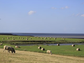 Apartamento de vacaciones Fedderwardersiel Entorno 26