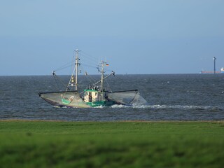 Appartement de vacances Fedderwardersiel Environnement 28
