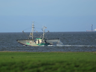 Krabbenkutter
