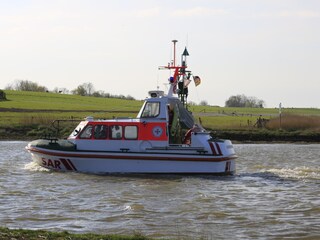 Appartement de vacances Fedderwardersiel Environnement 33