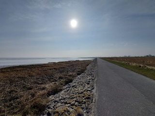 Vakantieappartement Fedderwardersiel Omgeving 34