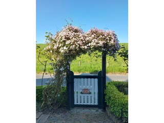 Vakantieappartement Fedderwardersiel Buitenaudio-opname 8