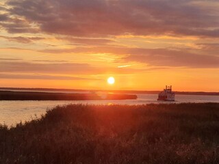 Ferienwohnung Zingst Umgebung 13