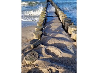 Ferienwohnung Zingst Umgebung 14