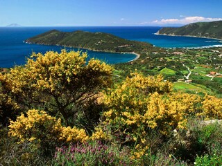 Apartment Portoferraio Outdoor Recording 2