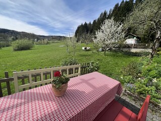 Holiday apartment Österreich Outdoor Recording 5