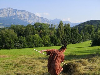 Holiday apartment Österreich Outdoor Recording 9