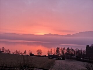 Morgenstimmung am Balkon. Im Frühling.