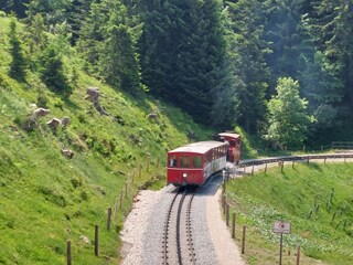 Mit der Bahn auf den Schafberg.