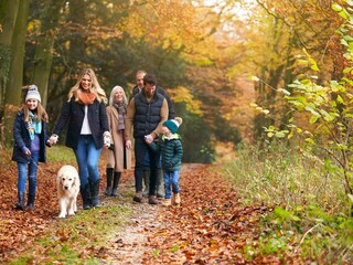 Gäste, begleitet von ihrem Hund,.