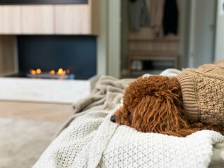 Holiday apartment Kenz-Küstrow Environment 25