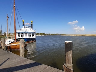 Ferienwohnung Zingst Umgebung 17