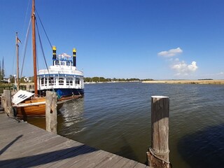 Holiday apartment Zingst Environment 17