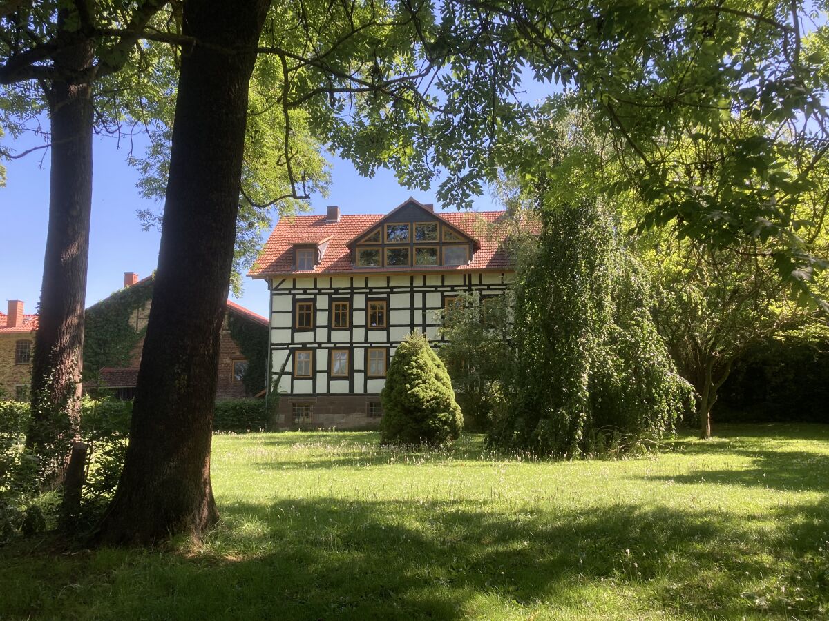 House view from the park