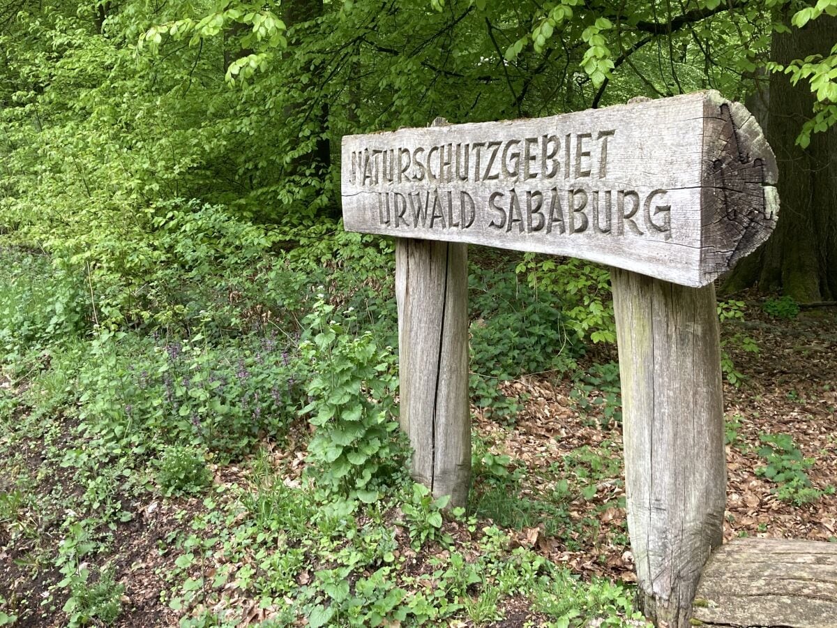 Eingang Urwald Sababurg