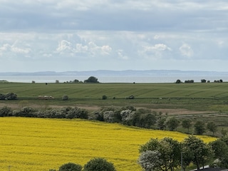 Rapsfeld mit Ostsee - Blick vom Balkon