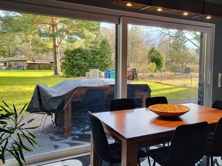 Blick in den Garten