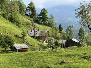 Holiday apartment Meiringen Outdoor Recording 7