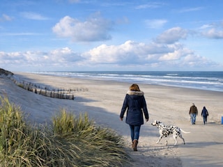 Strand Ameland