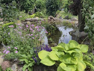 Gartenteich
