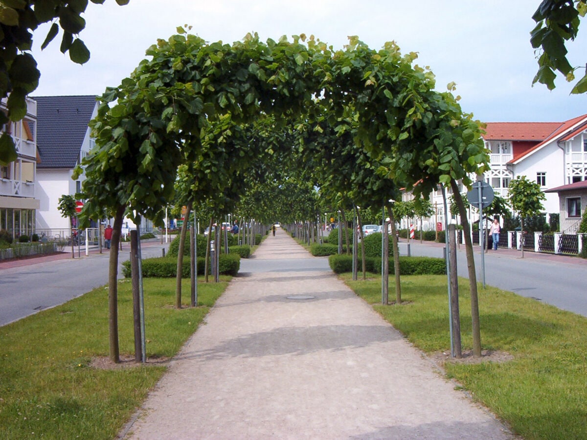 Baabe, Promenade auf der Hauptstraße (Bild: Olaf2)