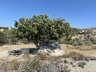 Namensgeber: Sivas Rocks