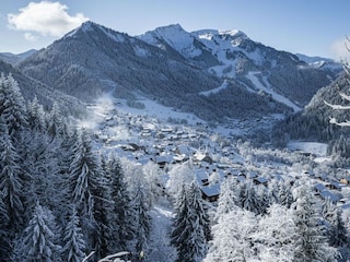 Apartment Châtel  14