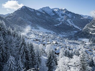 Apartment Châtel Umgebung 11