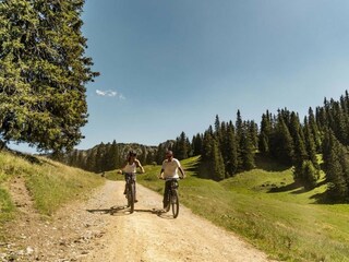 Apartment Châtel Außenaufnahme 10