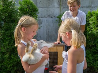 Appartamento per vacanze St. Johann im Pongau Ambiente 19