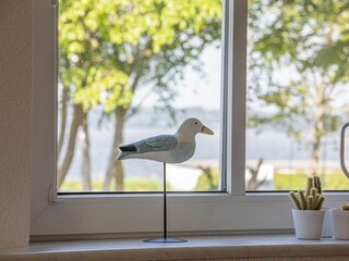 Ferienwohnung Glücksburg Außenaufnahme 29