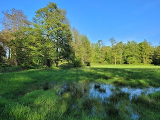Wiese am Ferienhaus