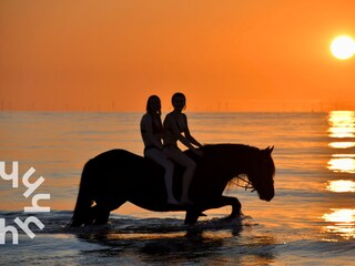 Holiday house Aagtekerke Environment 26