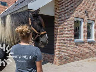 Holiday house Aagtekerke Environment 29