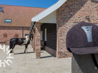 Ferienhaus Aagtekerke Umgebung 30