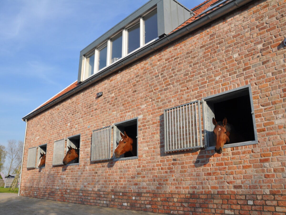 Ferienhaus Aagtekerke Umgebung 18