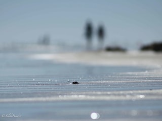 Endlose weiße Sandstrände