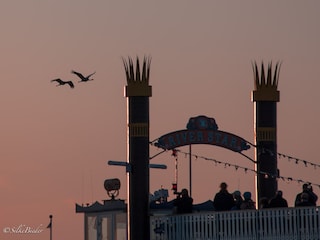 Kranichfahrten im Herbst