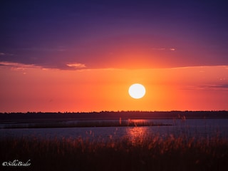 Sonnenaufgang am Bodden