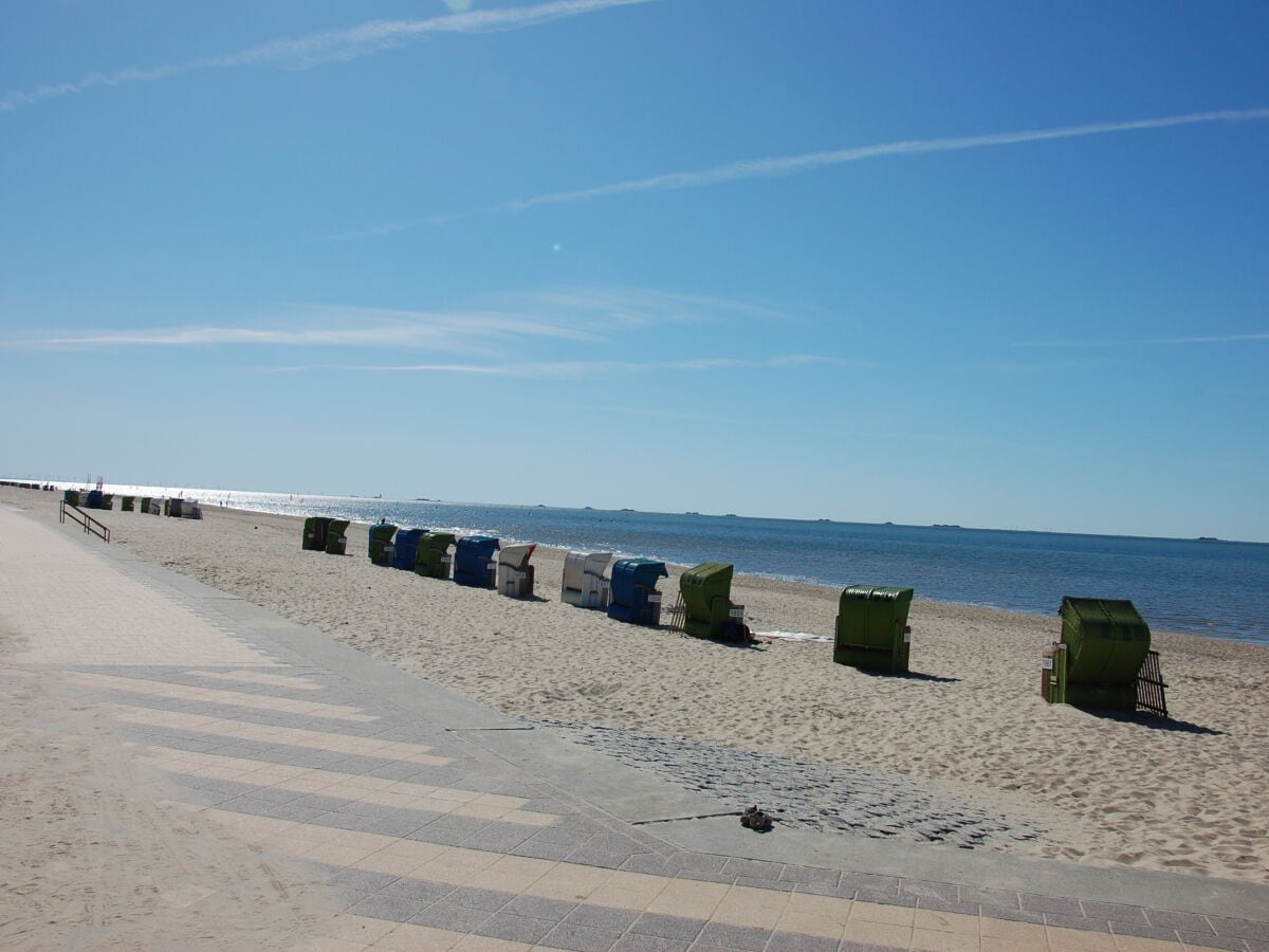 Gnießen Sie das Wattenmeer