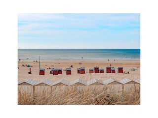 Holiday apartment Egmond aan Zee Outdoor Recording 38