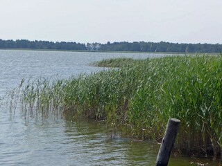 Bodden in Wieck am Darß